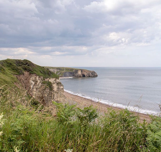 Curated Pieces tweet media