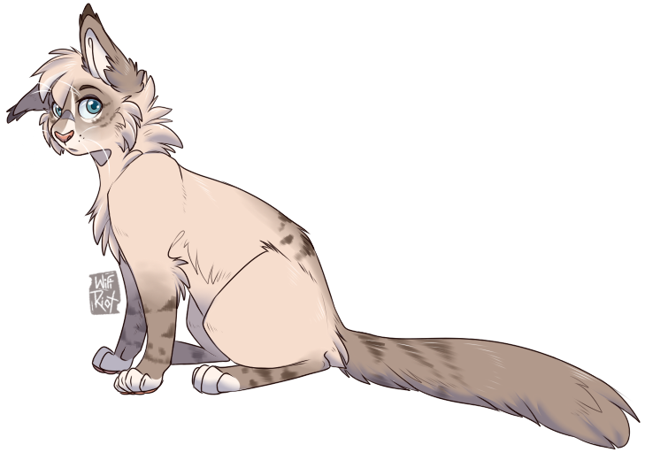 wifiriot's tweet photo. Just a cute lil' boy 
#warriorcats #warriorcatsoc https://t.co/eHF1W4LxZK