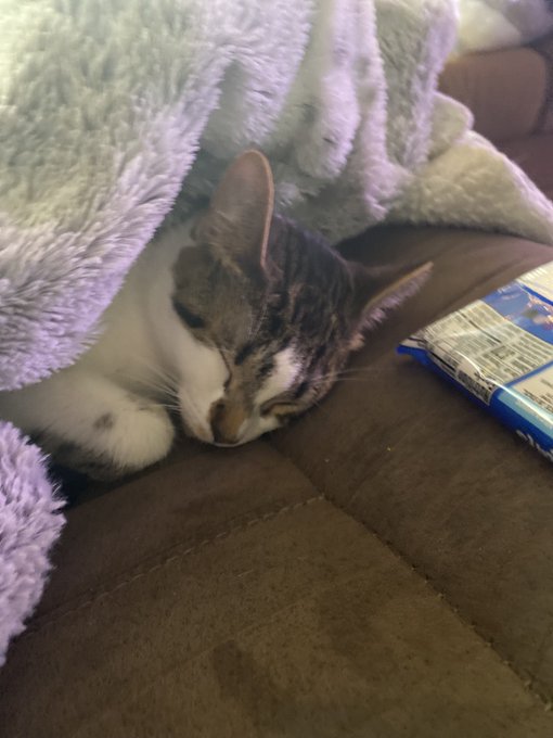 my ramsey and celeste 🤍🥺 https://t.co/2UccrmyzZr<a href="/tag/bdsm"class="tags"><span>#bdsm</span></a><a href="/tag/knifeplay"class="tags"><span>#knifeplay</span></a><a href="/tag/nsfwtw"class="tags"><span>#nsfwtw</span></a><a href="/tag/puppygf"class="tags"><span>#puppygf</span></a>