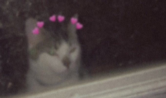 my ramsey and celeste 🤍🥺 https://t.co/2UccrmyzZr<a href="/tag/bdsm"class="tags"><span>#bdsm</span></a><a href="/tag/knifeplay"class="tags"><span>#knifeplay</span></a><a href="/tag/nsfwtw"class="tags"><span>#nsfwtw</span></a><a href="/tag/puppygf"class="tags"><span>#puppygf</span></a>