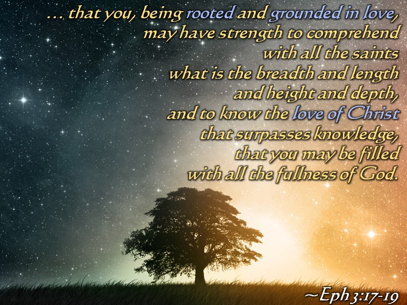 bbbthatsright's tweet photo. Having An Identity Crisis? In Case You Needed A Reminder: You Areโฆ (Part 2):
https://t.co/KEMS07AYW4
#YHWH #Yeshua #Yahweh #Jesus #YouArePart2 #CreatedForAPurpose #CarefFor #Lovely #Precious #Sabbath #Bible #Christian #Love #GodIsLove https://t.co/PEHEljCqpe
