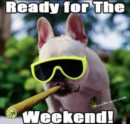thrivecraftnm's tweet photo. Are you ready for the weekend? Come see us, we will be here till 7pm

NFS🚫
21+
Educational purposes only📚 https://t.co/KoaPXbePGw