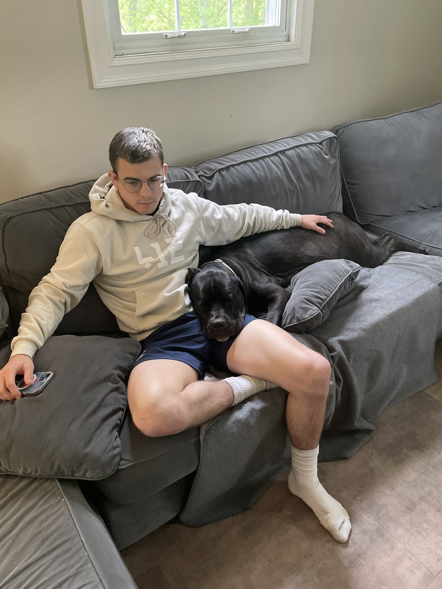 Puppies coming soon! Lmk if you or anybody is interested in a Cane Corso  puppy!