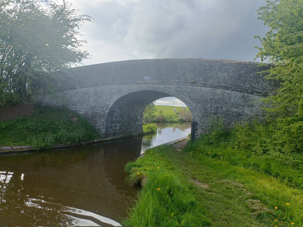 KarenDurber's tweet photo. Adderley locks, Norton in Hales circular 14.3km today. A little stop start with navigation 🧭 and helped a local farmer find his Labrador. A happy ending for everyone 🐶🐾🏃♀️ #running #runr #run #trailrun #canal #Shropshire #monkeysox #weekendrun @runr_uk @absolute360 @hoka https://t.co/ts9HyaUhjE