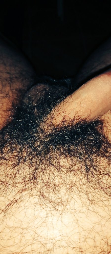 Pelos