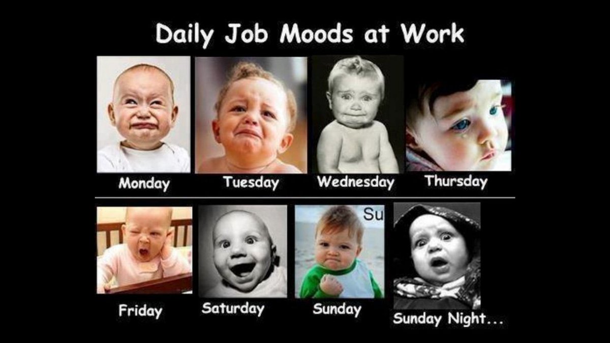 CHousing's tweet photo. Can you relate? 😂

Honestly, we have our Saturday and Sunday faces on all the time. Really, we're always happy to help!

#happymood #workfun #MCHA #corporatehousing #relocation #globalmobility  #furnishedlodging https://t.co/wM9J6pcfvU