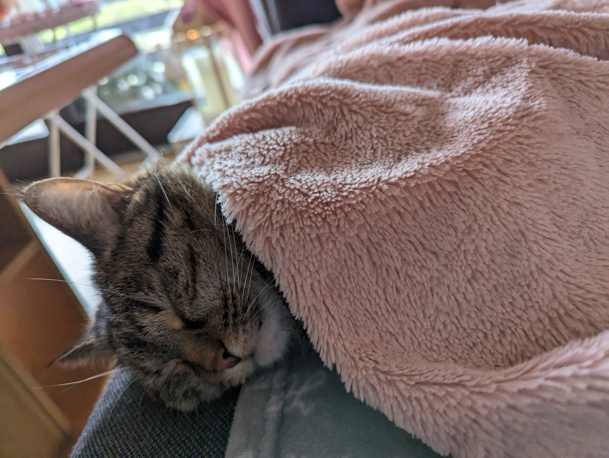 Martin (@yvrainelol) on Twitter photo 