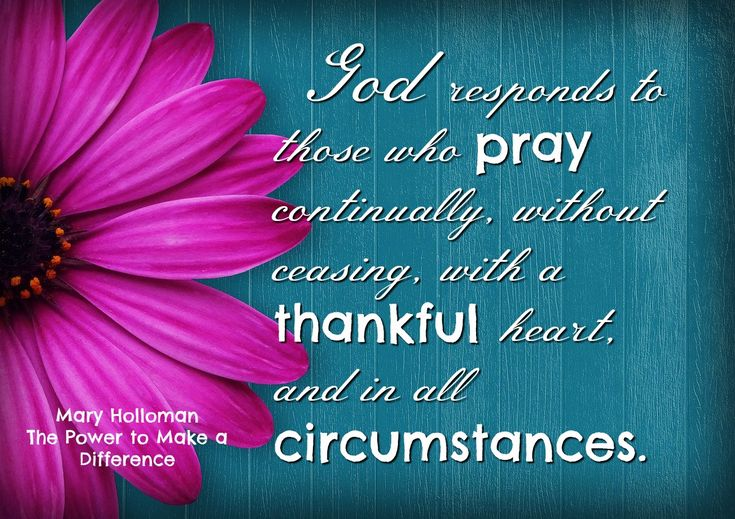 Karam Ellahie tweet media