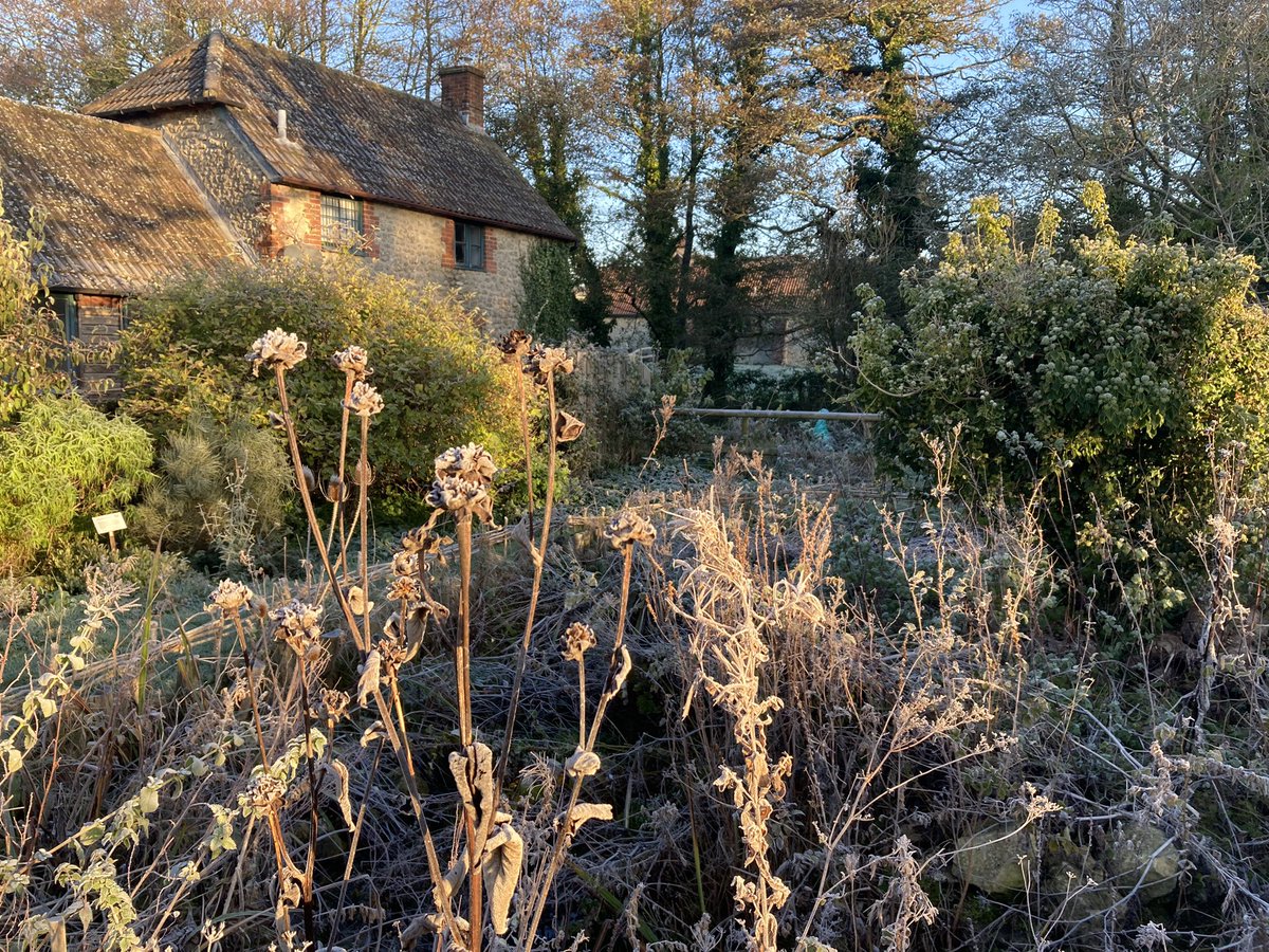 Dr Lucy English tweet media