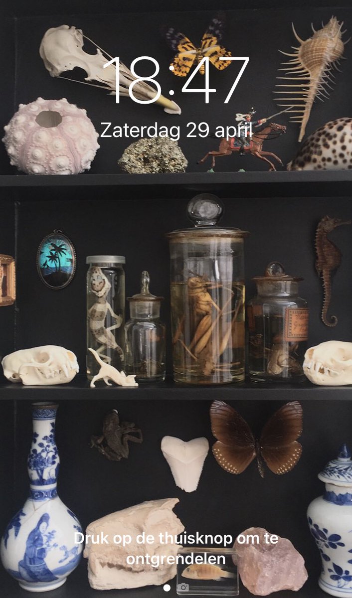 Hesters Rariteitenkabinet tweet media