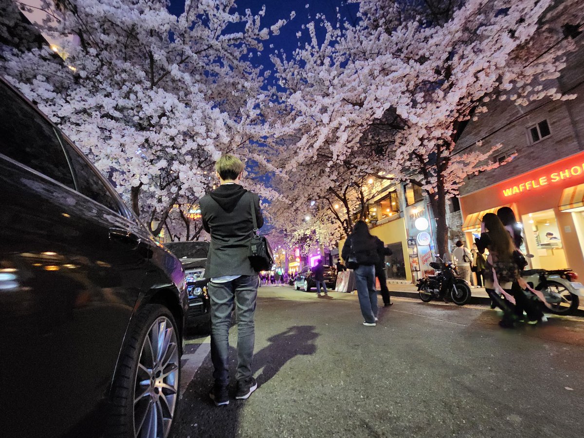 studio_diddu's tweet photo. 4월의 만개
#photography #photo #photooftheday #사진 #스냅  #sony #sonycamera #sonyphotography #zve10 https://t.co/XDUtlZI9R6