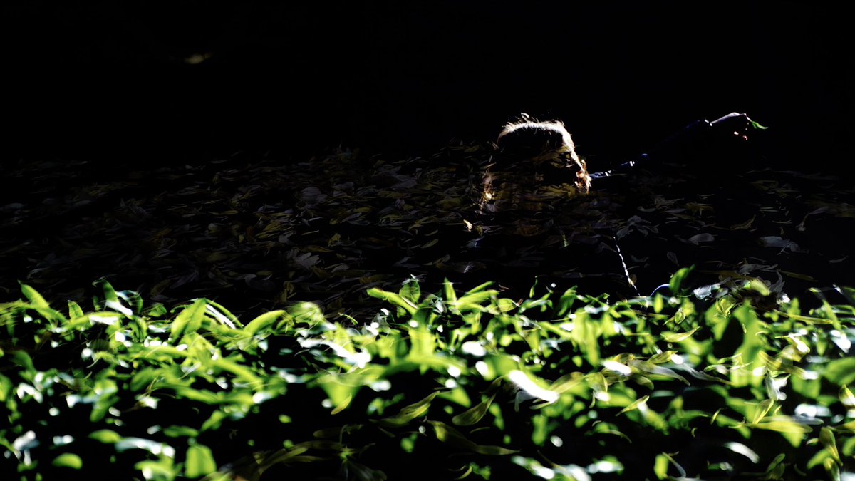 This summer I’m taking <a href="/Filmpoem/">Filmpoem</a> to France to screen a new commission, working with <a href="/j_w_norton/">James W. Norton</a> and <a href="/yvonnelyonmusic/">Yvonne Lyon</a>. the first rushes are dark and evocative. I’m also currently thrilled at the possibilities of new collaborations. The future may be water. My heart to Rosebud.