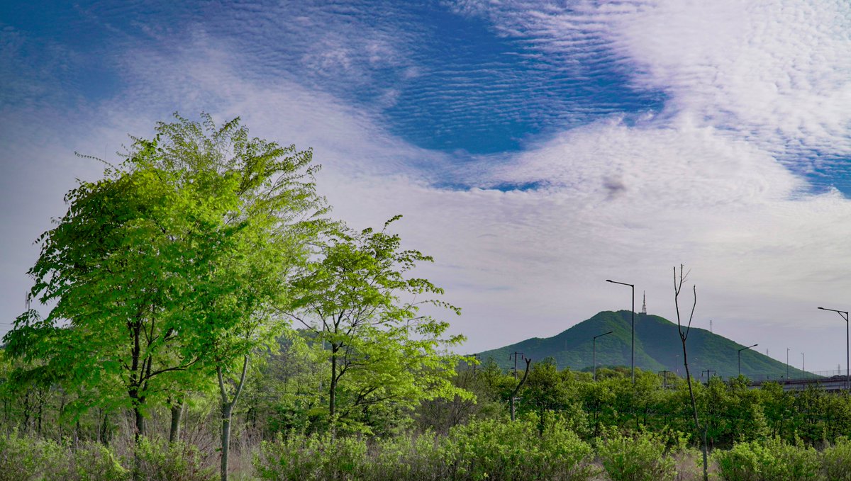 studio_diddu's tweet photo. 경인아라뱃길
#photography #photo #photooftheday #사진 #스냅  #sony #sonycamera #sonyphotography #zve10 #korea #koreatravel https://t.co/mZ2FbSc8q1