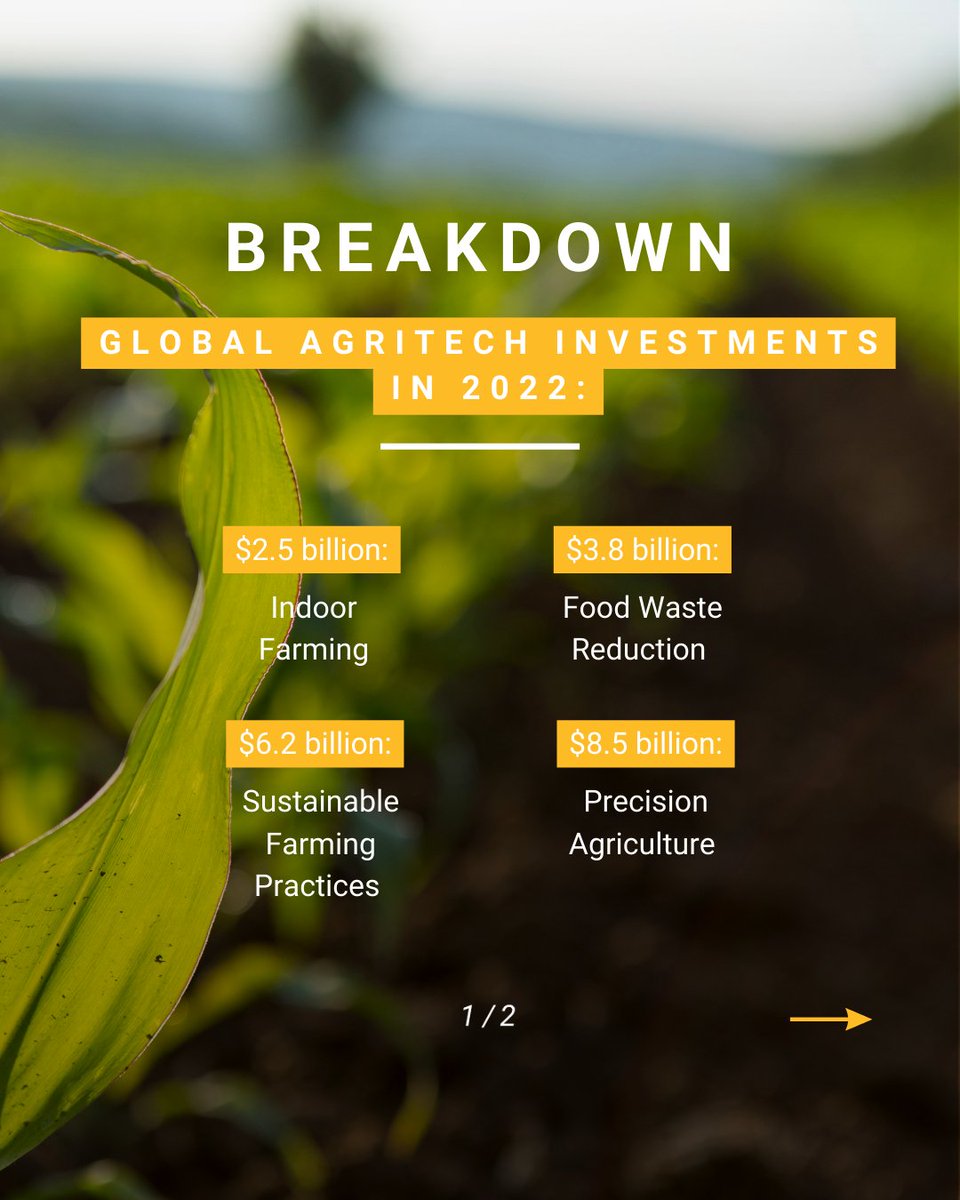 kurongakurima's tweet photo. Sad fact: Of the $26+ billion invested in #Agritech globally, Africa receives less than $200M (<1%) in funding for the sector.

Invest in African Start-Ups like Kuronga.

#choosekuronga #kuronga #milkenmotsepeprize #peopleschoiceaward #miglobal #investinkuronga #ai #agriculture https://t.co/7Uv4ph3nSR