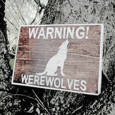 MoonlightAppeal's tweet photo. 🐺Leah Clearwater 
🐺Mature Writer 21+ 
🐺Storylines, Banter, Random 
🐺Twilight Roleplay 
🐺Sister to @YoungShifter 
🐺Member of Forbidden Passions

🐺The beast howls in my veins. https://t.co/sStyQ20KFw