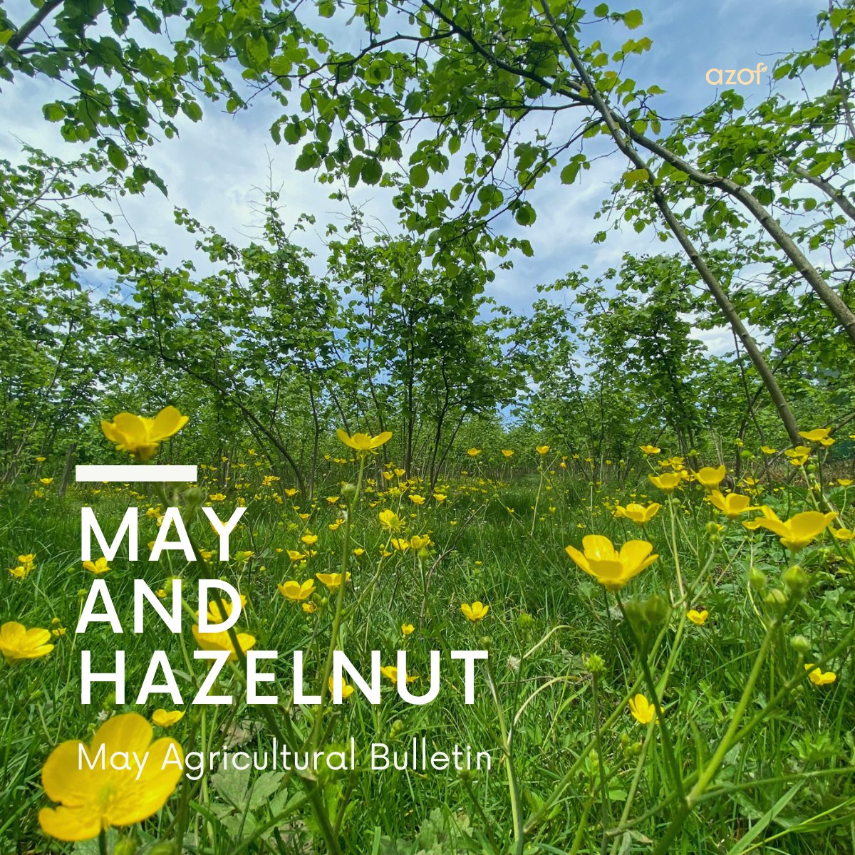 karimexhazelnut's tweet photo. You can access Azof Organik's May Newsletter through our website https://t.co/ifG1wq4J5h and our social media accounts!

#organic #hazelnut #agriculture #Karimex #Azof https://t.co/uCG72ZR9vc