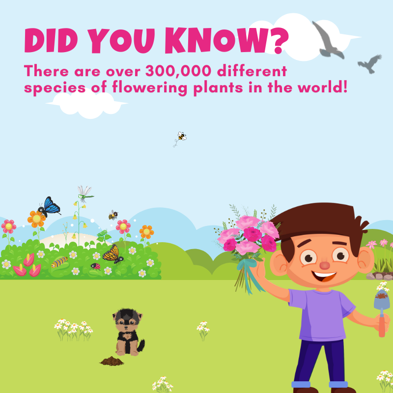 bumps_bottom's tweet photo. It is nearly May!🌞

What's your favourite flower? 💐🌹🌺🌸

#BottomBumps #EddieAndTheBumps #Flower #FlowerFact #Rhyming#FactsforKids #InterestingFact #MobileGame https://t.co/W5CsiDNgAM