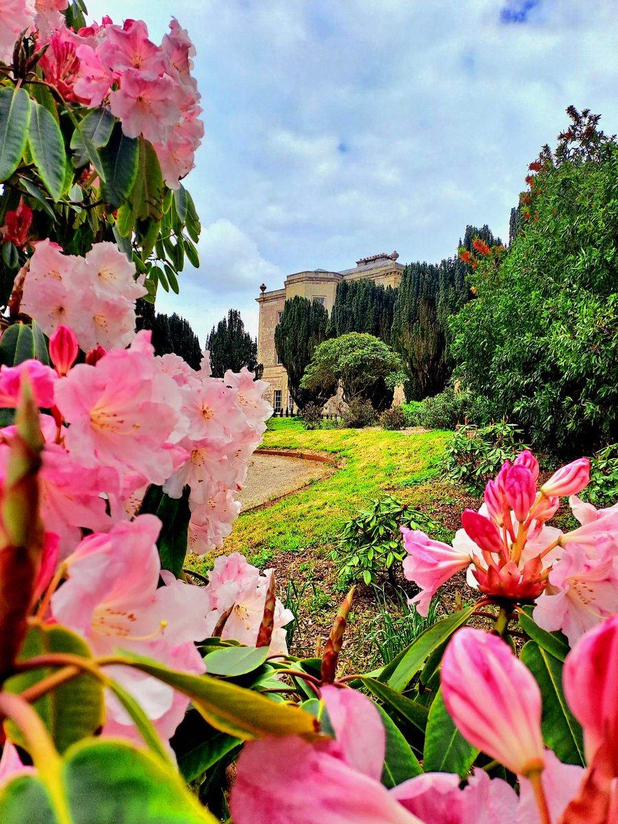 nationaltrust's tweet photo. Stop and smell the sweet aroma of spring - Northern Ireland is positively blossoming right now.

Photos: Castle Ward and Rowallane Garden #BlossomWatch https://t.co/1NhkthA1vd