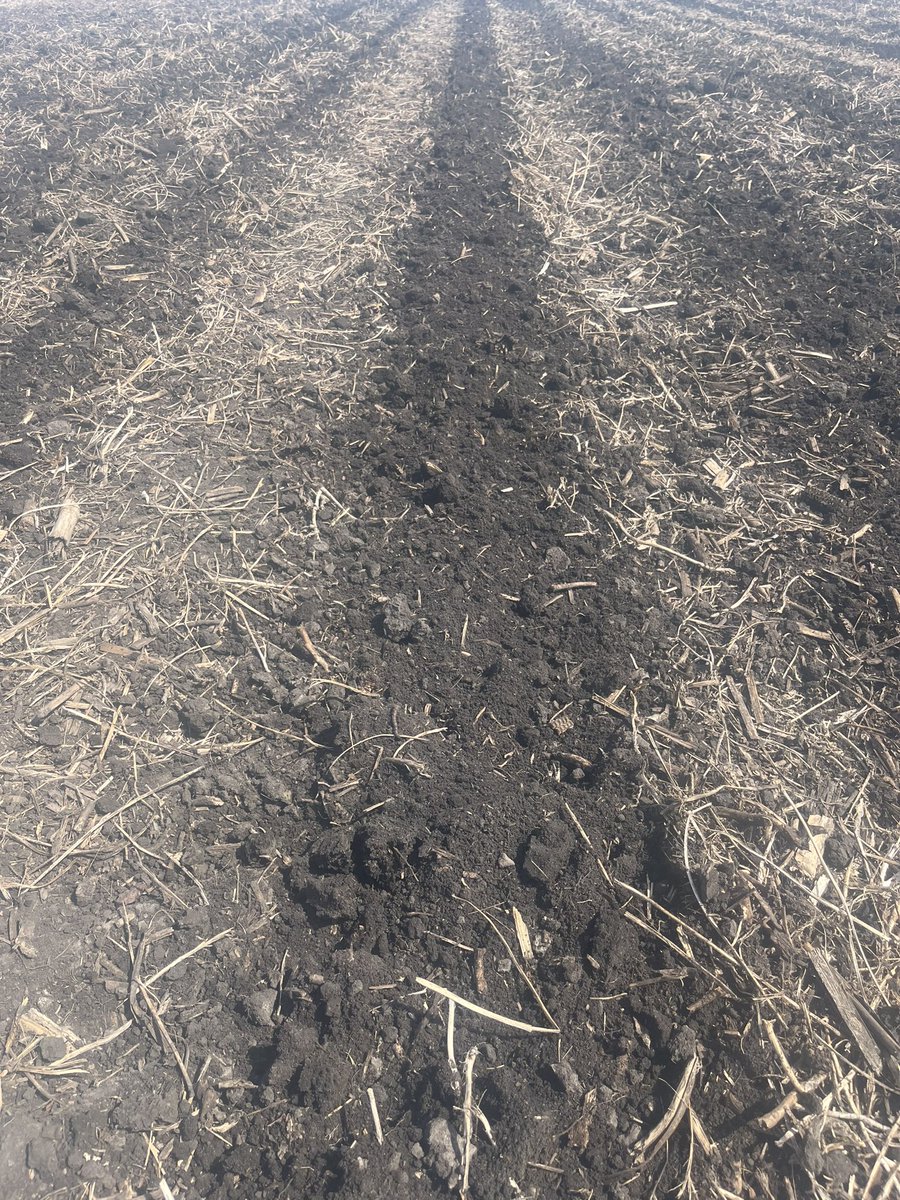 Roger Toquam tweet media