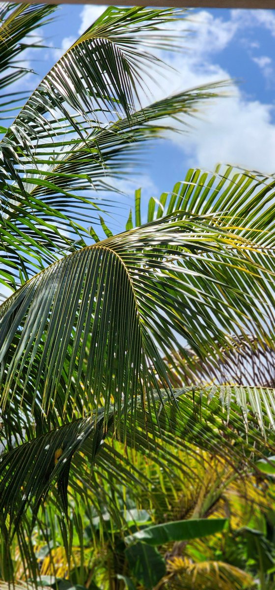 abbyrosemaureen's tweet photo. The best weather in the Caribbean https://t.co/gSAUxrtAuA