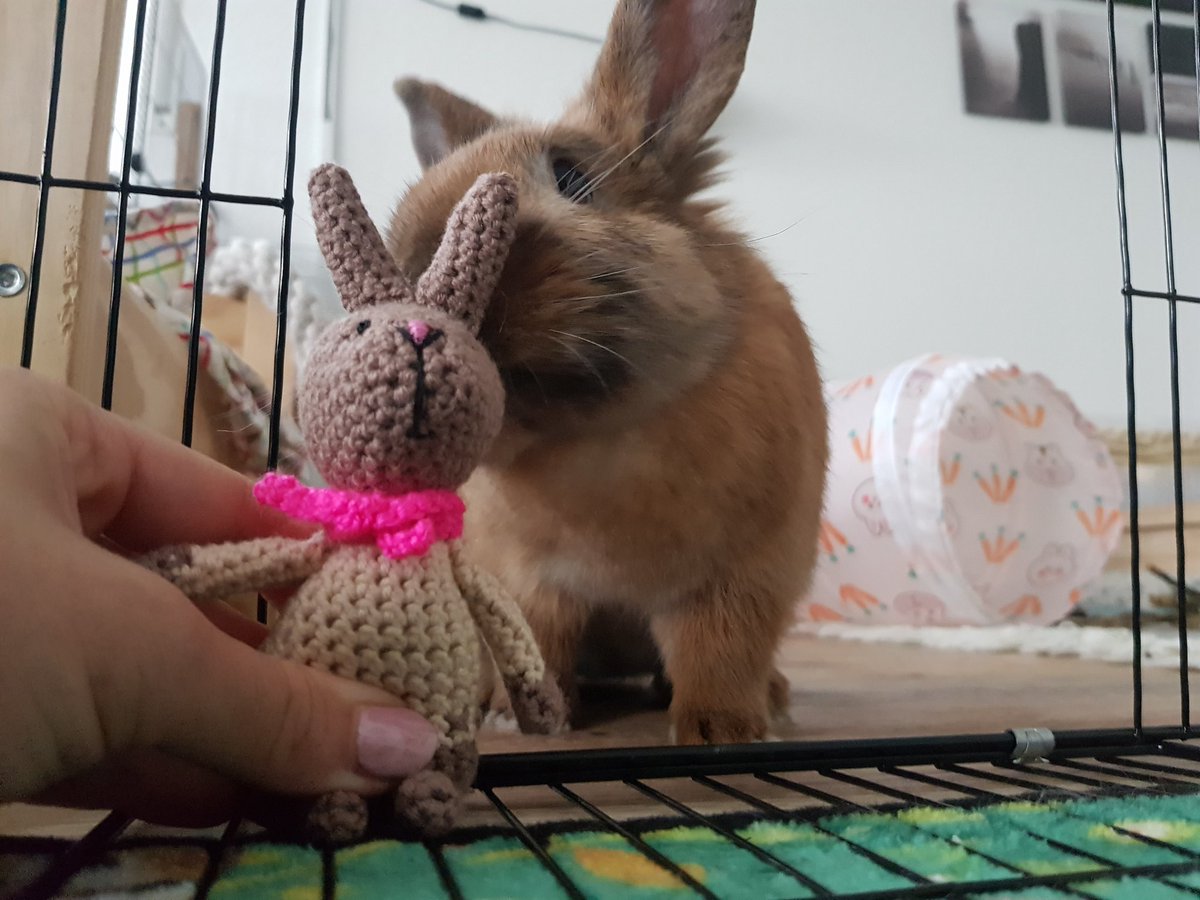 LabaLama1's tweet photo. Hier noch ein Foto von Stulle mit ihrem Minime. https://t.co/edAxNMx0HD