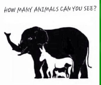How many animals can you see in this picture? 
#CGforVaccine