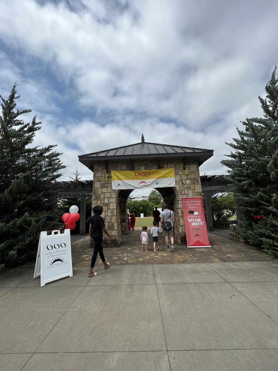 Sickle Cell Partners tweet media