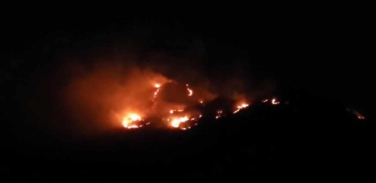 Rain helps firefighters control fire on Pavagadh Hill, 6 hectares land damaged