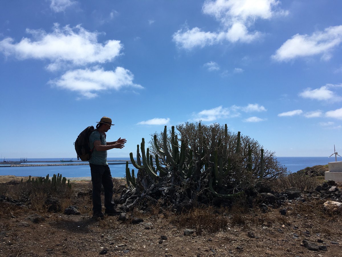 MrADye1's tweet photo. Very interesting day with @TeesEarthEnv looking at the intense pressure Tenerife is under from Tourism and the climate. @beccawinnie @IgnacioGarciaGT https://t.co/Axag77Yjgp