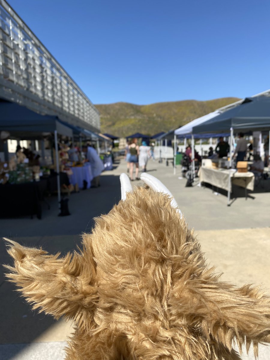 The Inland Empire Science Festival is NOW OPEN! Stop by to see science exhibitors from across Southern California, all for the price of your regular museum admission - and thanks to @HUSDParents, HUSD families get in FREE!