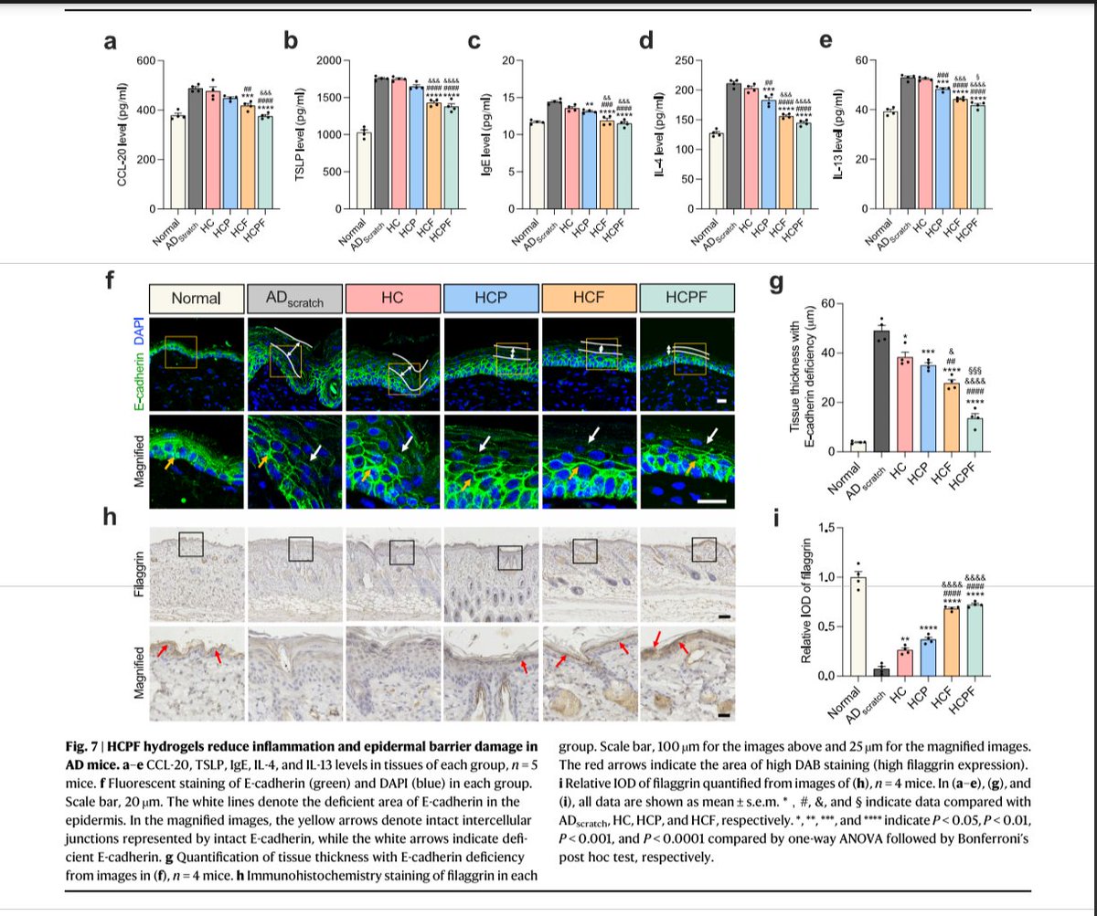 CrozrX's tweet photo. 🎯 Clinical translational promise of FAK as a mechanotherapy target.
•
Hydrogel dressing integrating FAK inhibition and ROS scavenging for mechano-chemical treatment of atopic dermatitis #AD #RAD2023 #eczema #defactinib
•
https://t.co/a9IjRbwPBt https://t.co/MBqj8ByKWZ