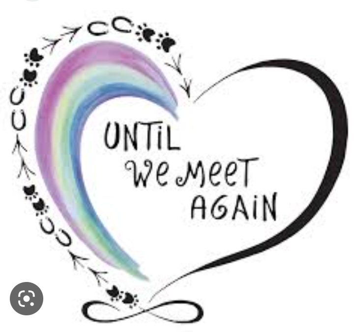 Regina51850721's tweet image. Share The Love #KITCHIE 💕 #NotAlone Until We Meet Again 🫂