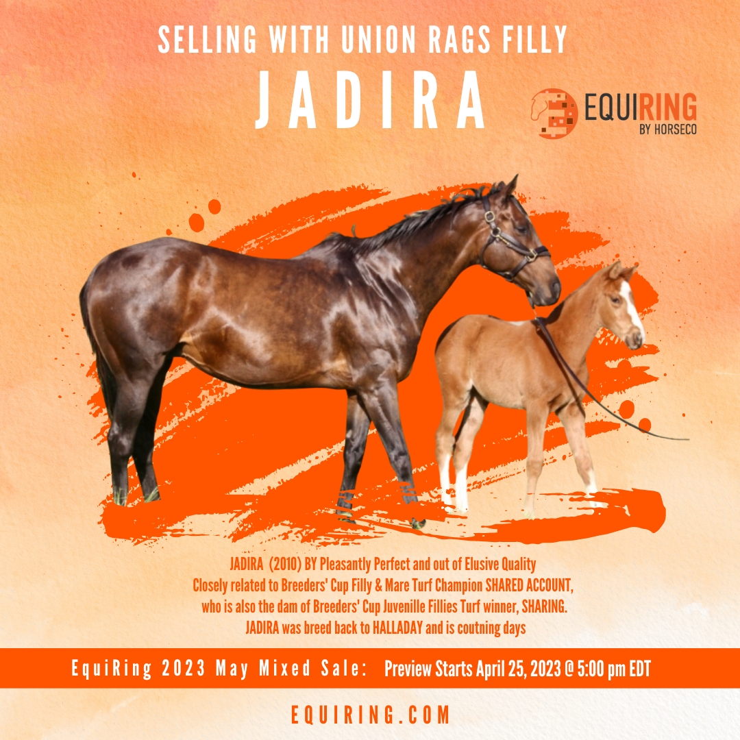 1EquiRing's tweet photo. Deep and active female family, JADIRA is closely related to Breeders' Cup Filly &amp; Mare Turf Champion SHARED ACCOUNT, who is also the dam of Breeders' Cup Juvenille Fillies Turf winner SHARING. 

View listing: https://t.co/2C1RVuYgsu https://t.co/sZnoCvXEdU