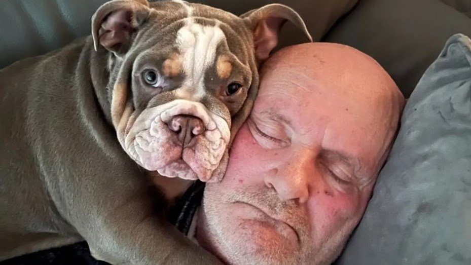 AcervoCharts's tweet photo. 🚨 REAL: Cachorro come dedo do dono até o osso enquanto ele dormia e médicos afirmam que o animal salvou sua vida. https://t.co/c0KmFPxBzV