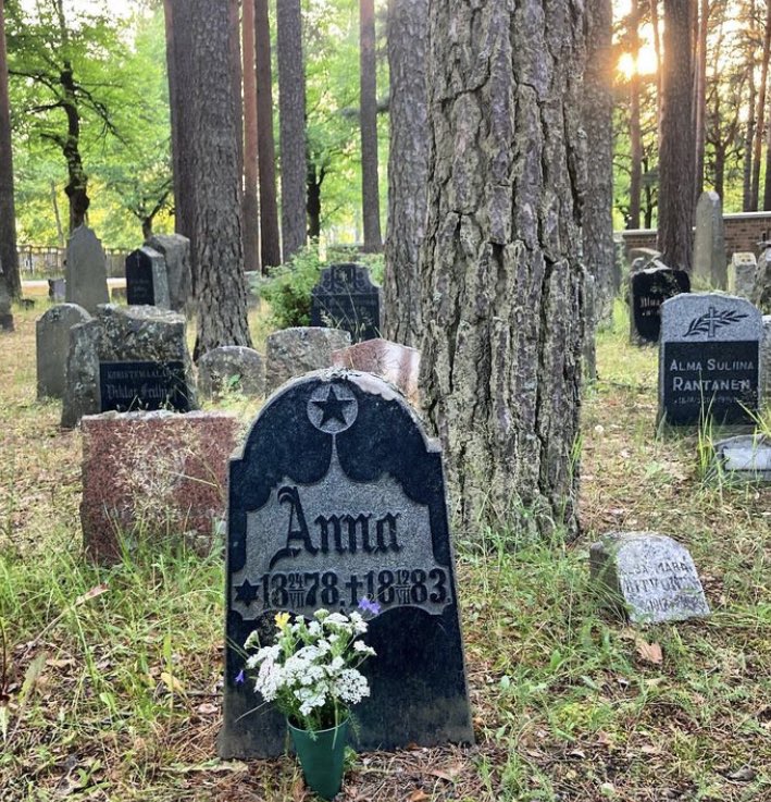 Anna Sirén tweet media