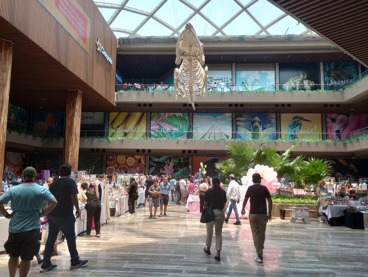 Palmieri888's tweet photo. Kiwik market bazar !!!
Plaza Urban Center sobre la Bonampak..Frente a plaza las Américas!!! #Cancun 
A partir de las 4:00 pm pinta caritas y a las 5:00 función títeres.... Gracias por el RT https://t.co/xssW6ZFvO0