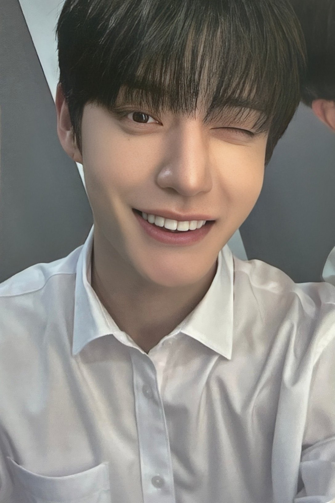 zb1 scans on Twitter "Boys CGV photocards HIGH QUALITY 🧵