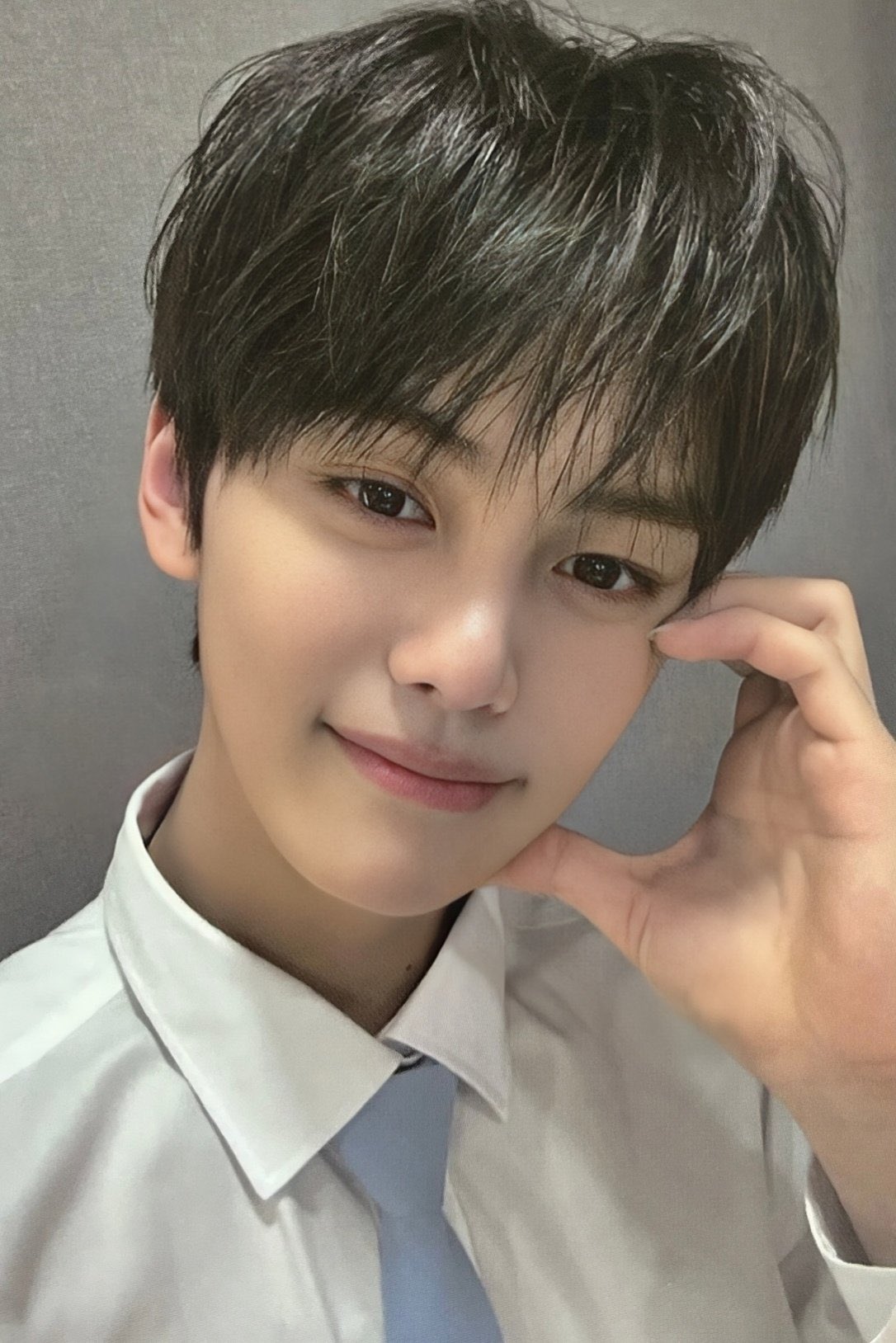 zb1 scans on Twitter "Boys CGV photocards HIGH QUALITY 🧵