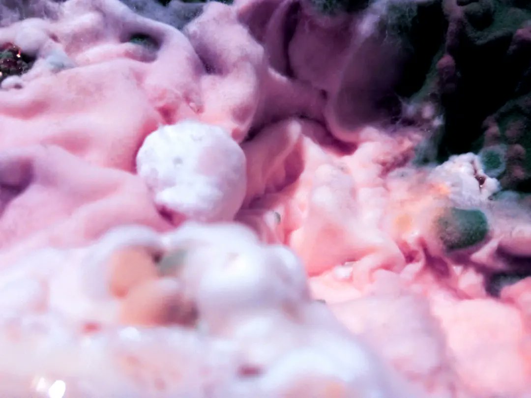 cemetgates tweet media