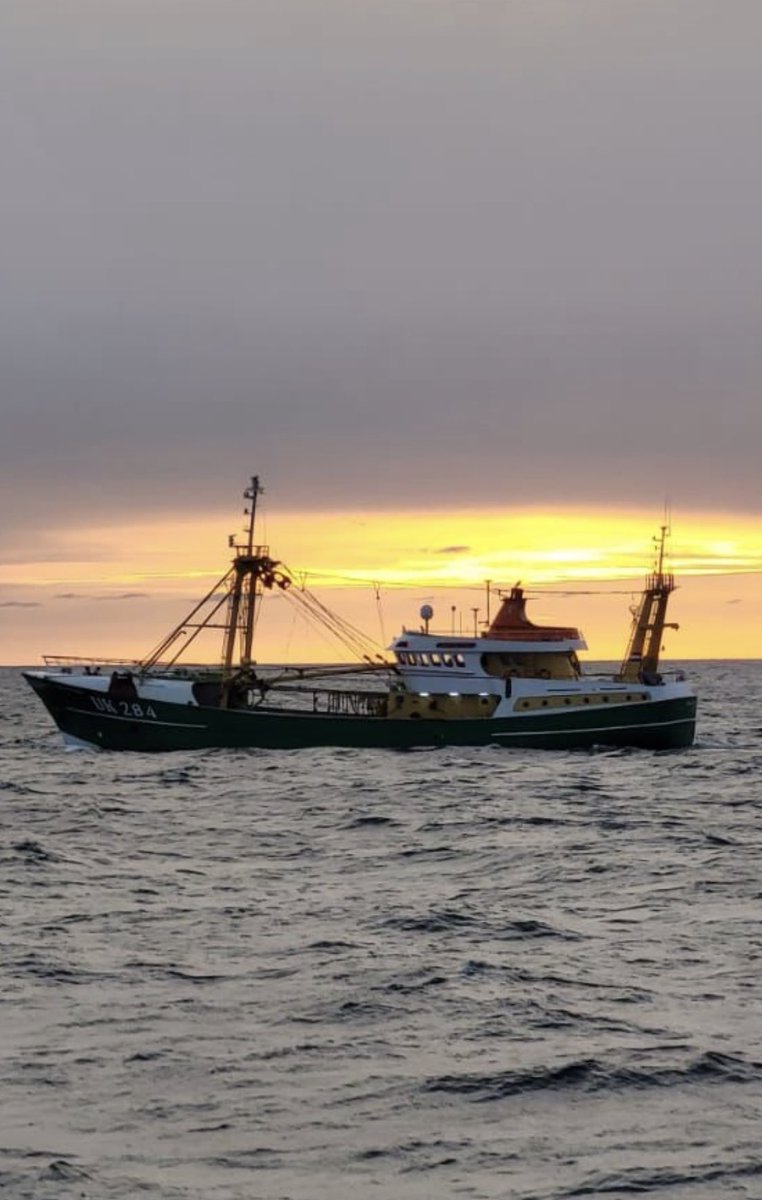 klaas hoekstra🚜 tweet media