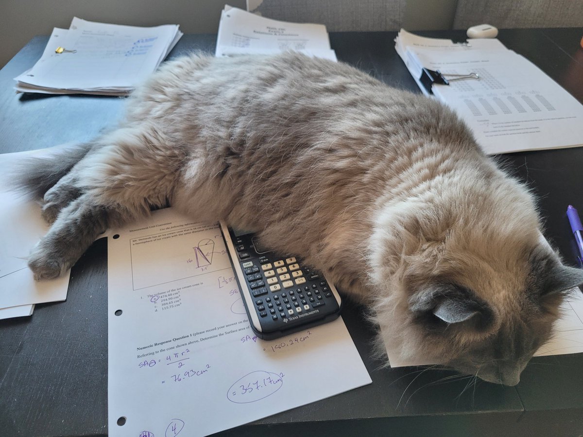 MrDemeule's tweet photo. Update: Sunday marking on Saturday has been postponed due to floof. https://t.co/aVrwtyu8W0