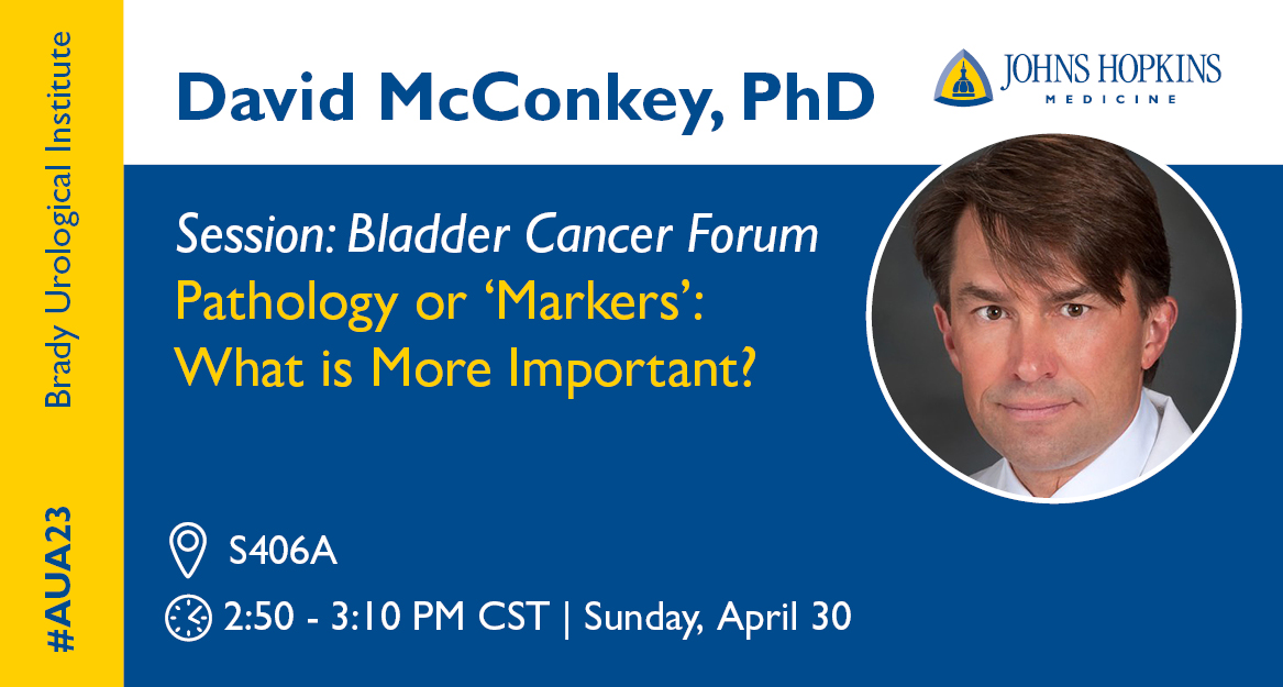 The Johns Hopkins Brady Urological Institute (@brady_urology) on Twitter photo The great debate - pathology or 'markers', what's more important in #bladdercancer? <a href="/JHBladderCancer/">Johns Hopkins Greenberg Bladder Cancer Institute</a> director <a href="/djmcconkey/">David McConkey</a> takes the stage to debate at #AUA2023 #AUA23 The great debate - pathology or 'markers', what's more important in #bladdercancer? <a href="/JHBladderCancer/">Johns Hopkins Greenberg Bladder Cancer Institute</a> director <a href="/djmcconkey/">David McConkey</a> takes the stage to debate at #AUA2023 #AUA23