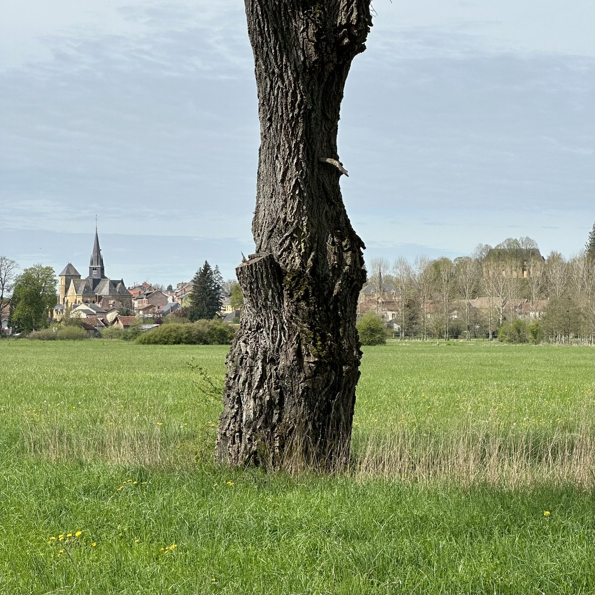 AXIS_DESIGN's tweet photo. in Grandpre on research and experimental engagement #dycp #artscouncilengland - new work, artist walk, sound recording, video, mapping of ‘place studies’ with @CorinnePainter and @larahaegerling https://t.co/RviPv2C9Z8