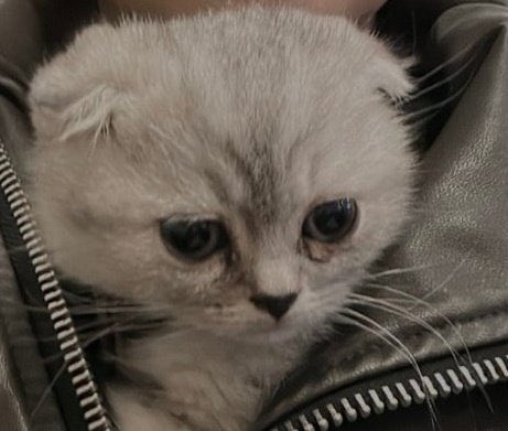 waldorffagenda's tweet image. canım sushikenim

TekDerdimiz AyTol