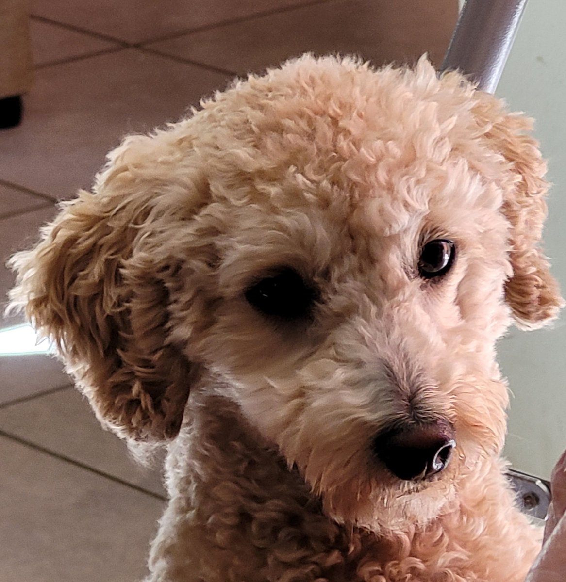 moranecei's tweet photo. Feliz día a ustedes animales!!! https://t.co/F4LpsBkGmR