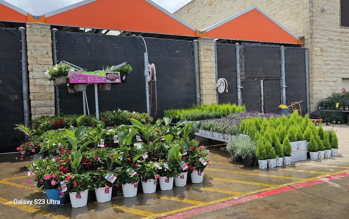 Christian May tweet media