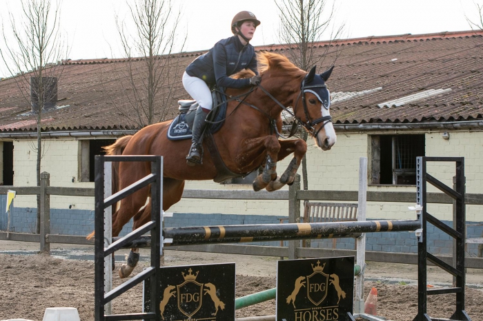 5 jarige simpel te rijden merrie paardenhandelaren.com/paardenhandel/… #paarden