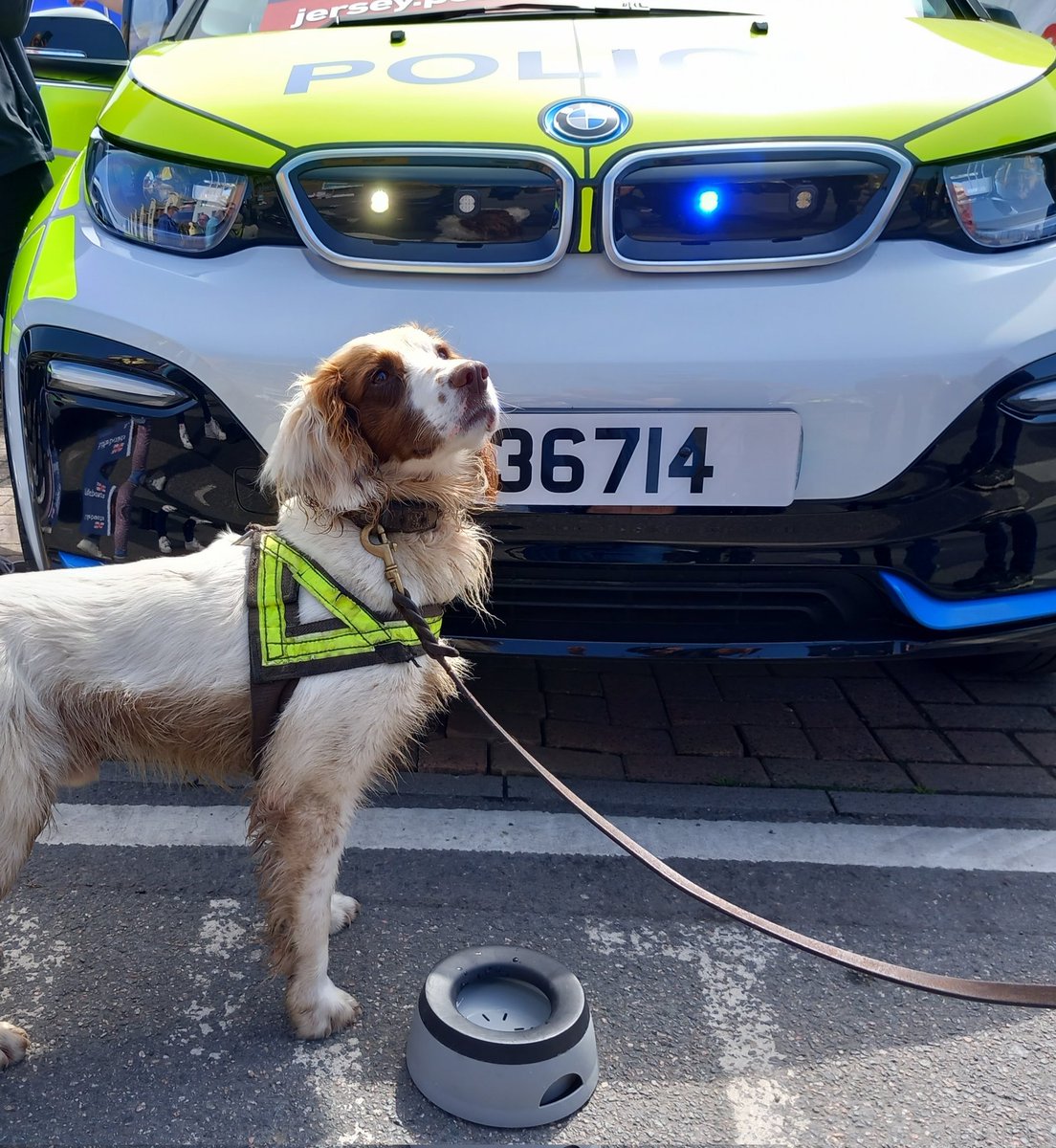 JJ Gallagher tweet media