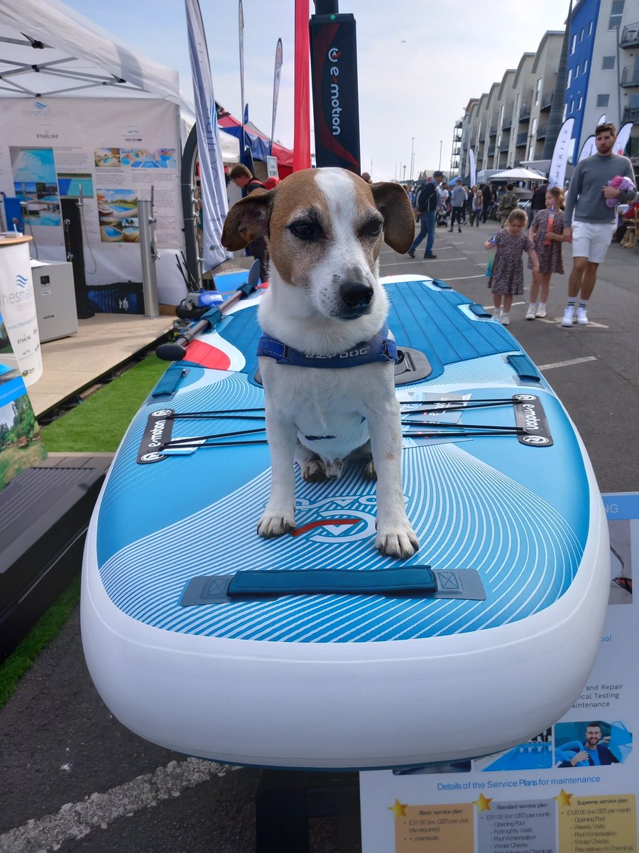 JJ Gallagher tweet media