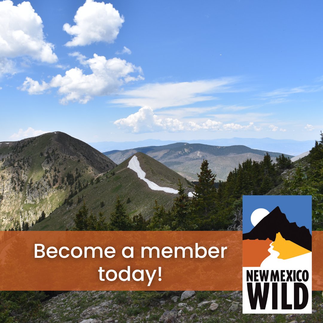 nmwild's tweet photo. We work to preserve access to free-flowing waters on our public lands. By becoming a member of #NMWild, you'll help us continue the work of advocating for the protection of New Mexico's wildest places. You'll also get some great member perks! https://t.co/PNeJsI25tR #NewMexico https://t.co/lO0fkizysS